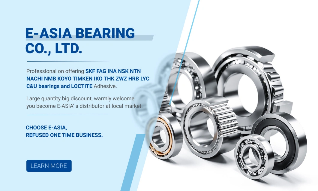 Wj508 NSK Koyo Timken IKO Hch Iag High Precision Small Size Mini Miniature Ball Bearings 6001 6003 6005 6007 607 Mini Miniature Deep Groove Ball Bearings