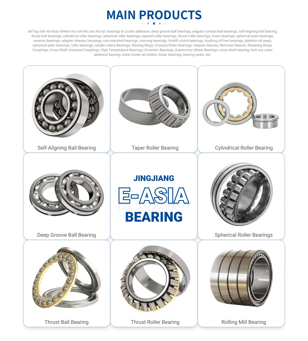 Roller Aligning Cylindrical for Tool Spindles with Internal Combustion Engines Ball Bearings Bearing ODM